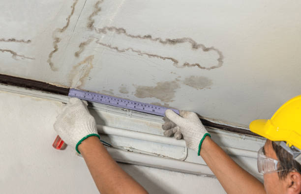 Reliable Water Damage contractor in Chauncey, OH by Water Damage Irwin